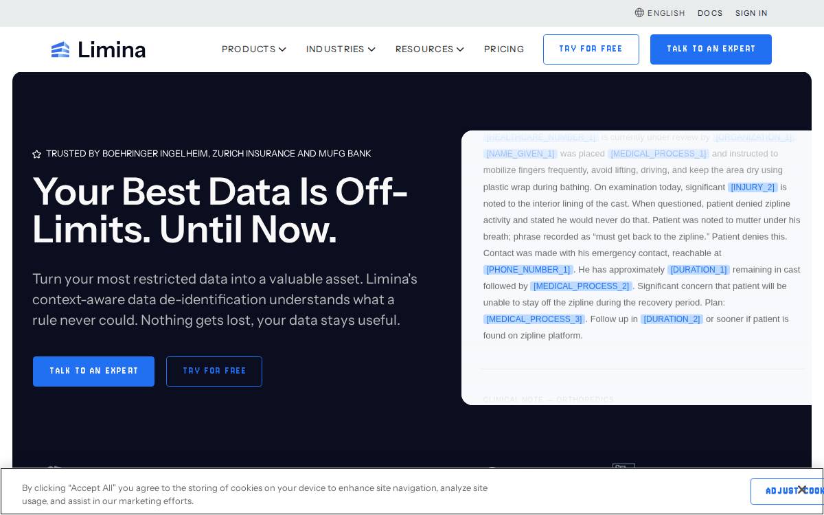 Private AI website preview