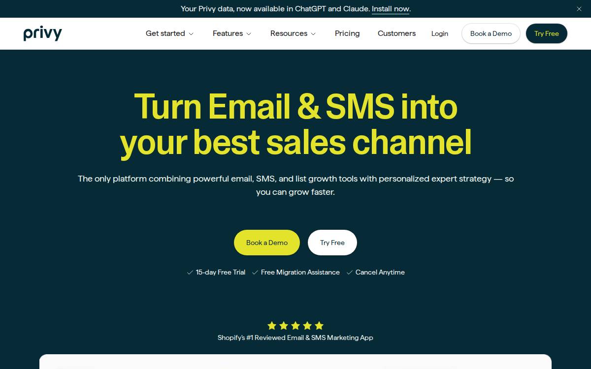 Privy website preview