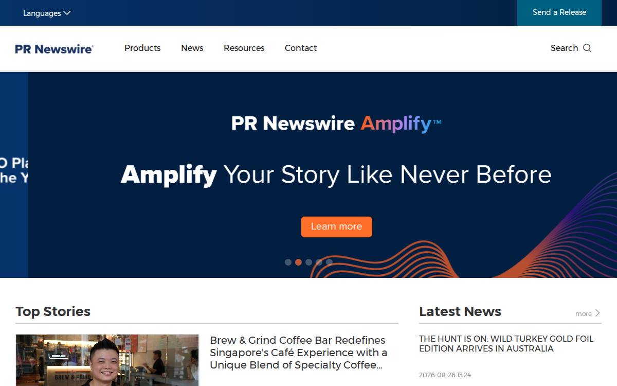 Prnasia website preview
