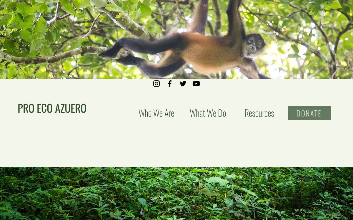 Pro Eco Azuero website preview