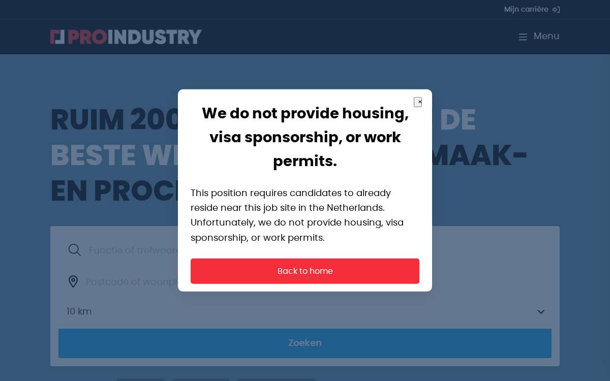 Pro Industry website preview