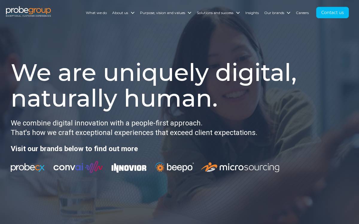 Probegroup website preview