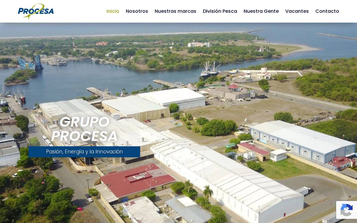 Procesa website preview