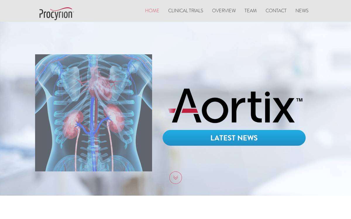 Procyrion website preview