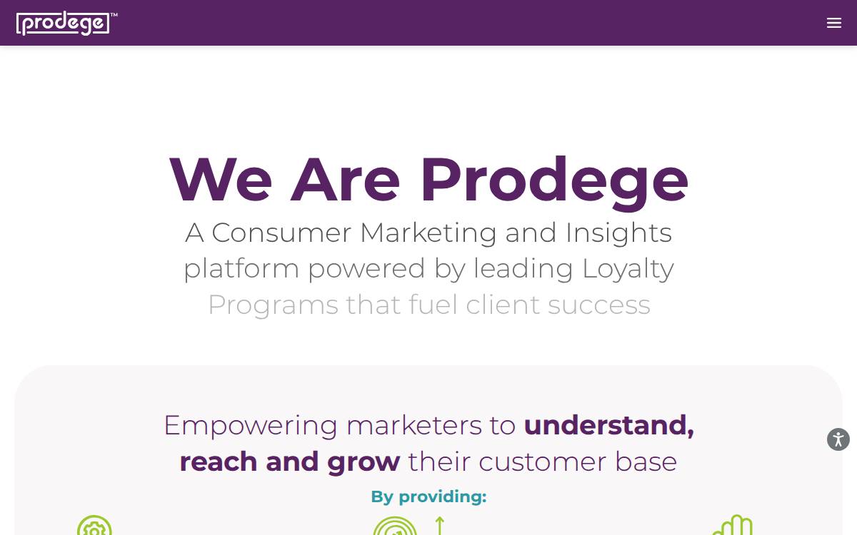 Prodege website preview