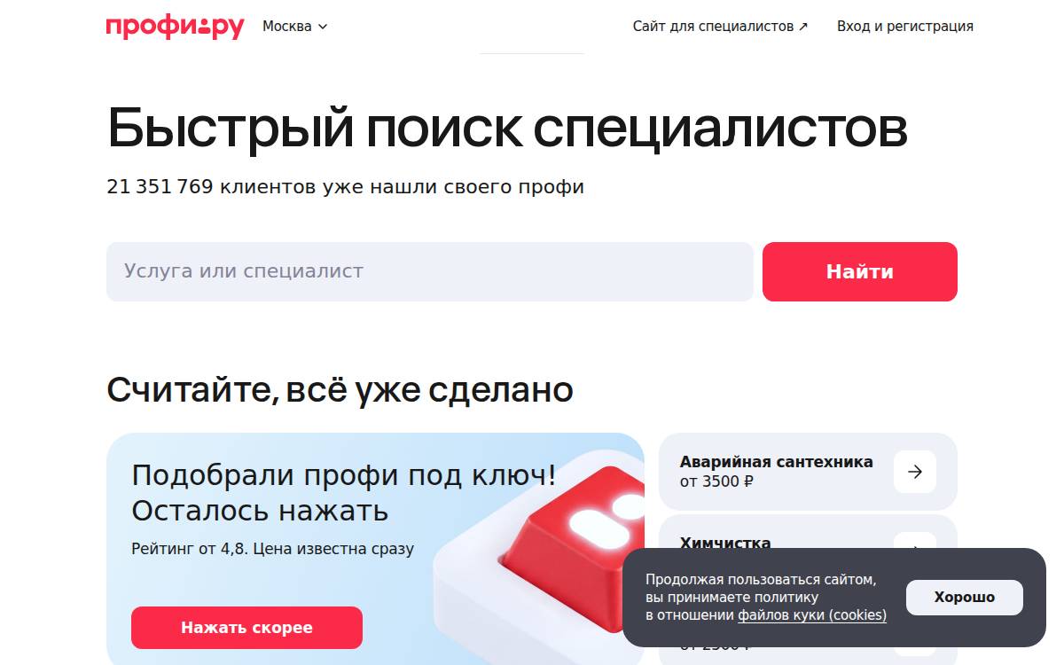 Profi website preview