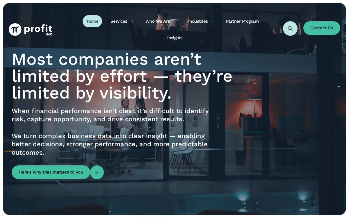 Profit Inc website preview