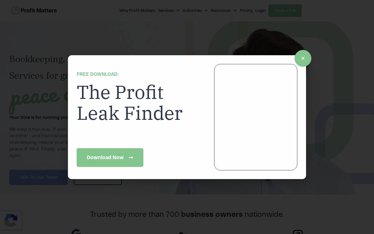 Profit Matters website preview