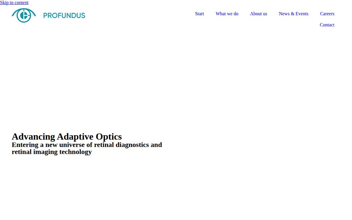 Profundus website preview