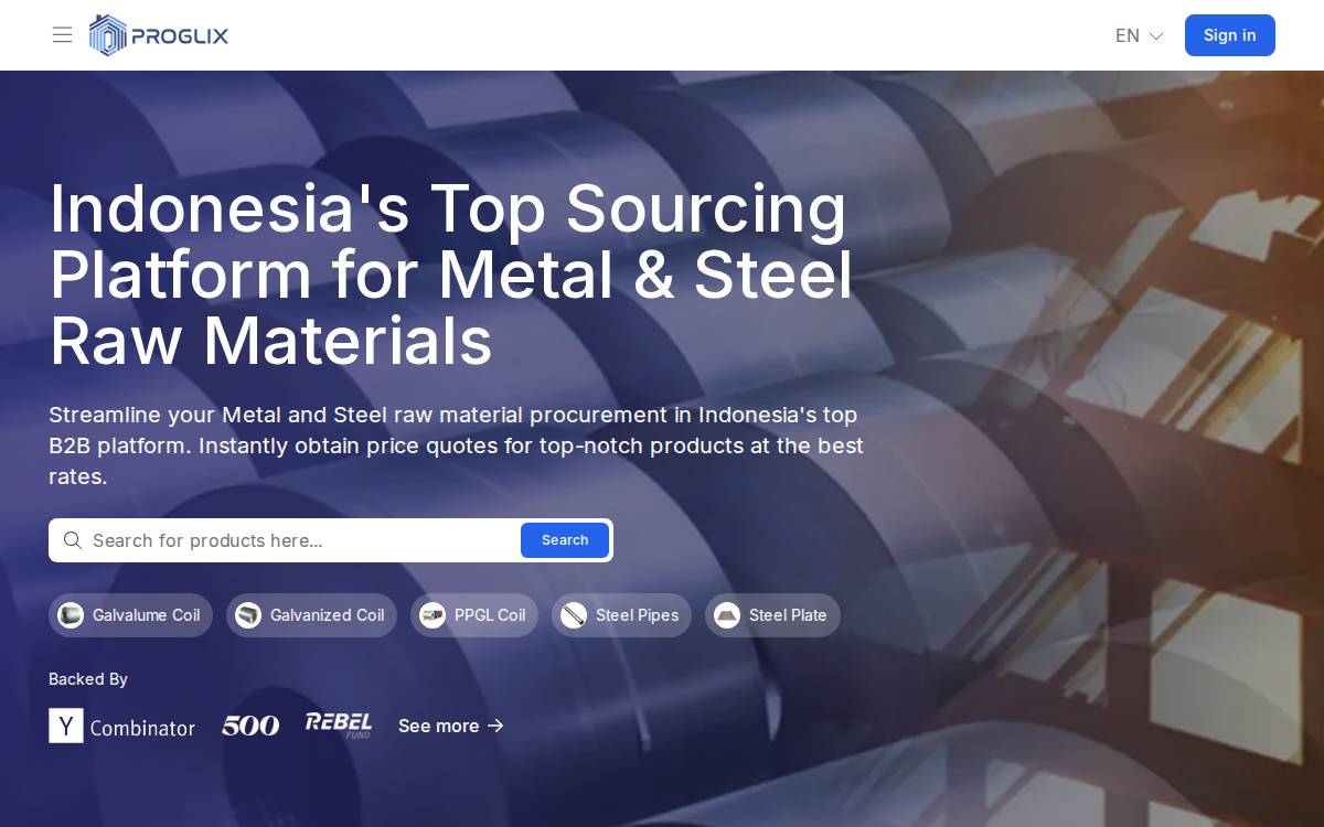Proglix website preview