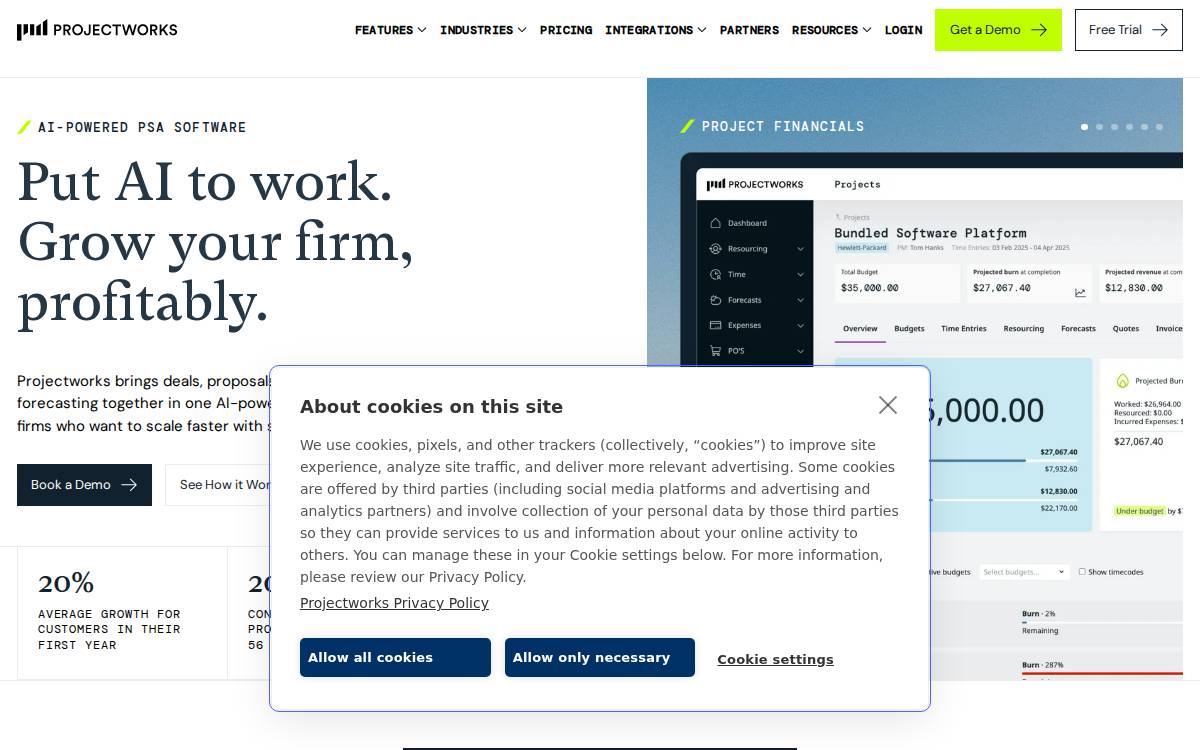 Projectworks website preview