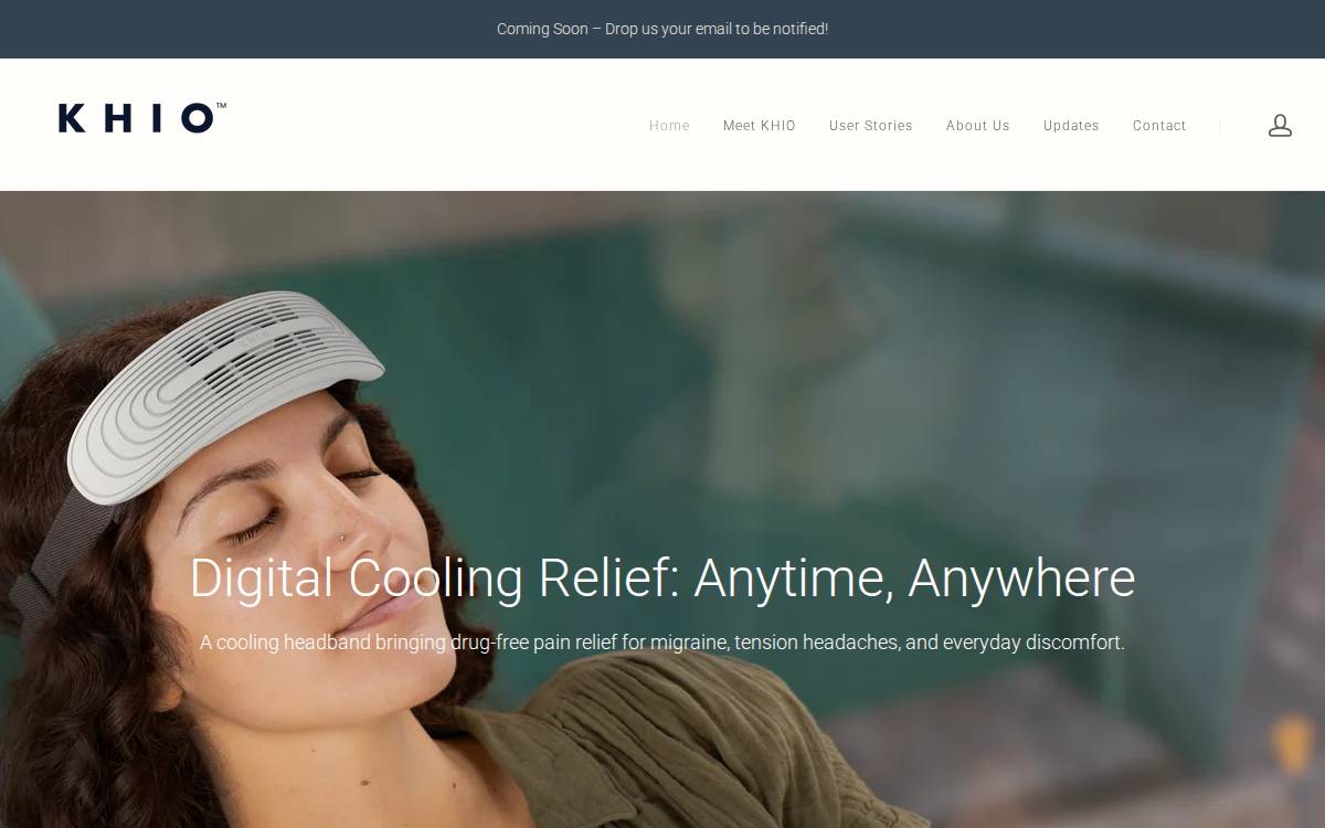 Prolivio website preview