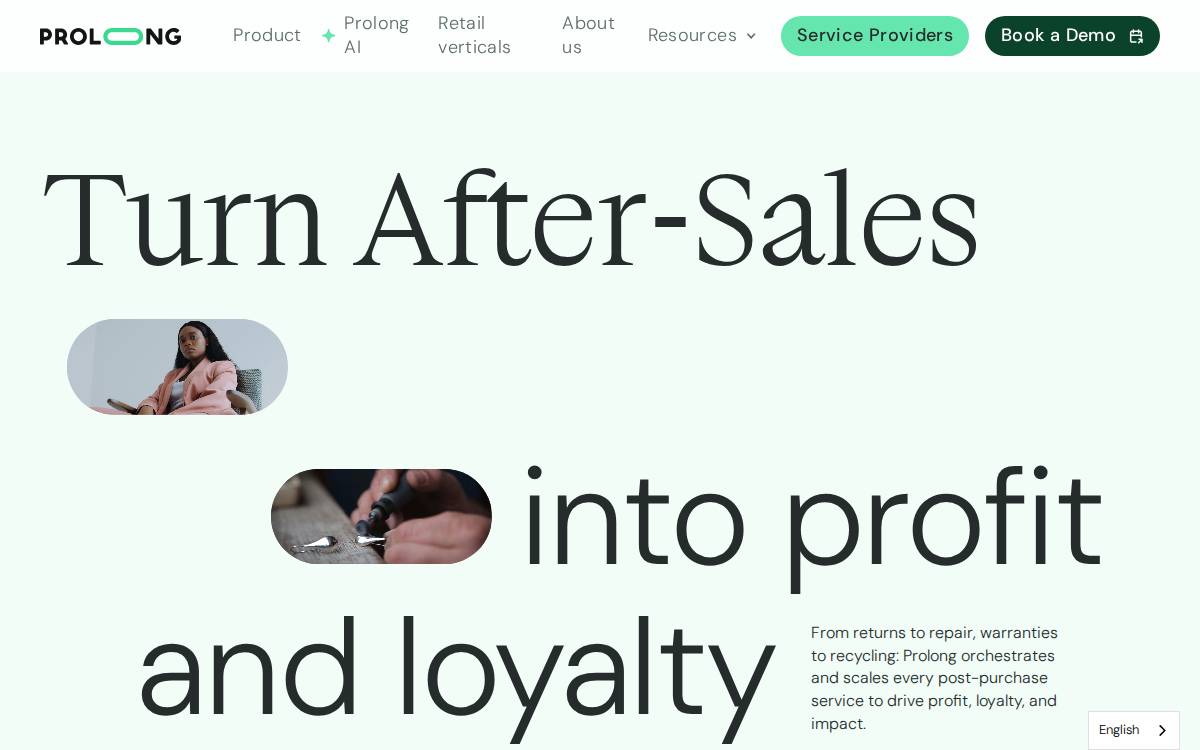 Prolong website preview