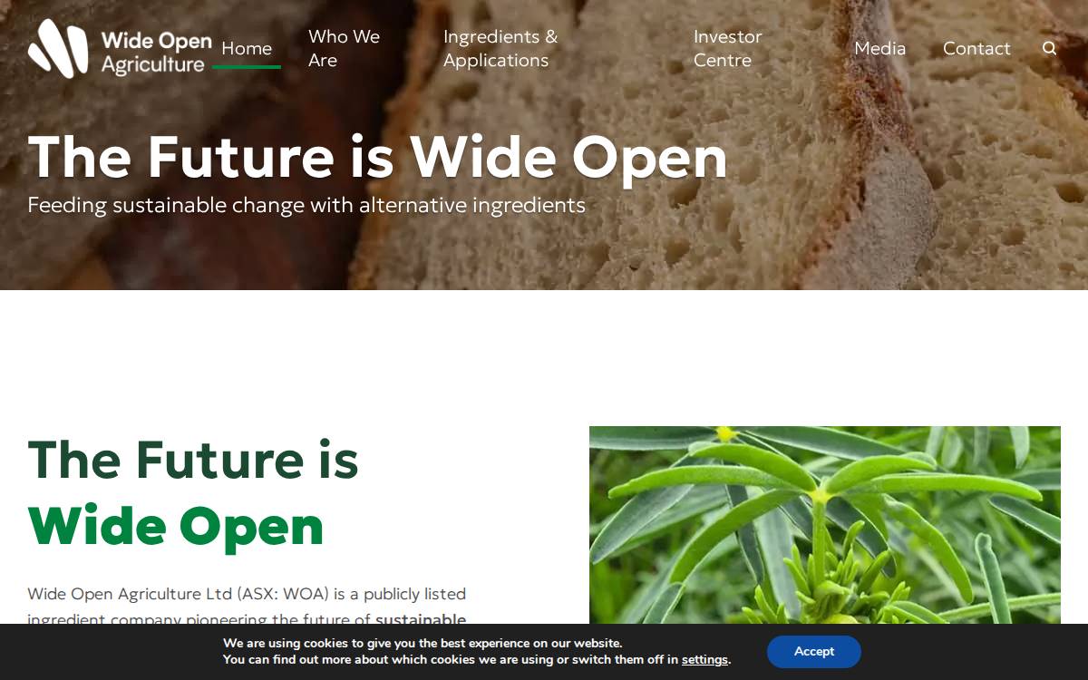 Prolupin website preview
