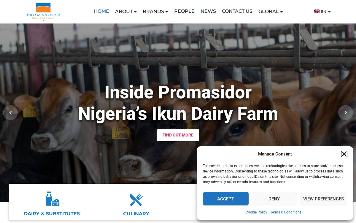 Promasidor website preview