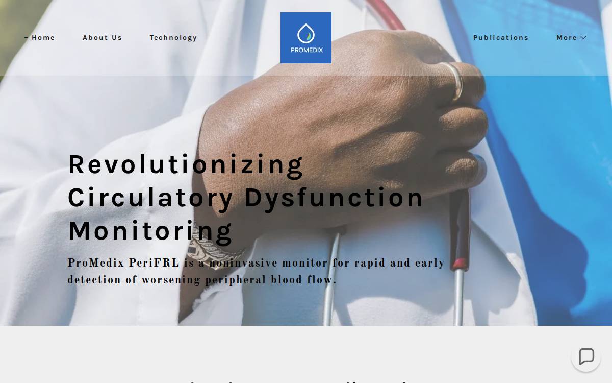 Promedix website preview