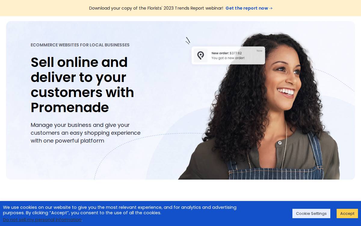 Promenade website preview