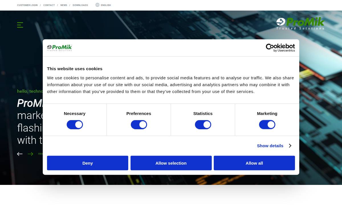 ProMik website preview