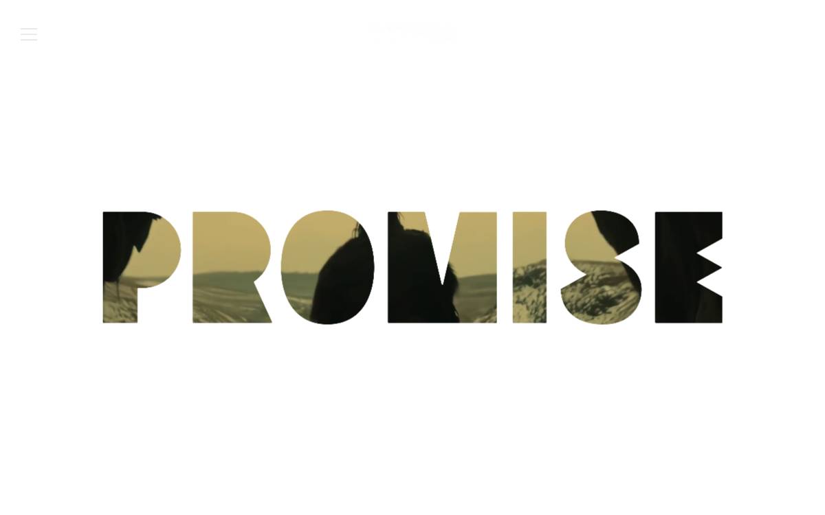 Promise website preview
