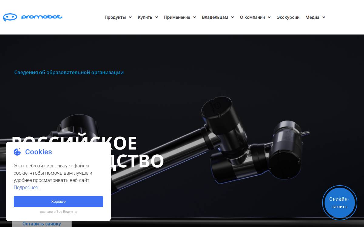 Promo Bot website preview