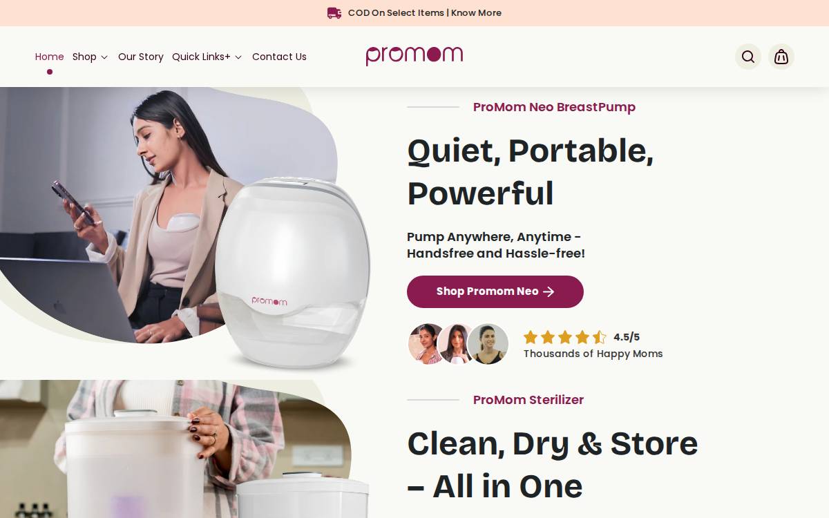 Promom website preview