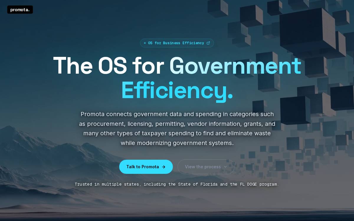Promota website preview