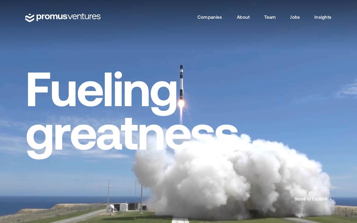 Promusventures website preview