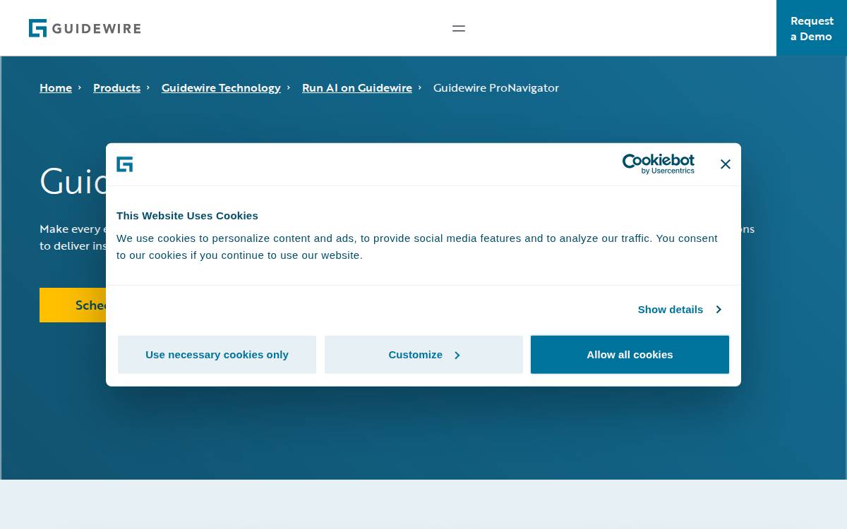 ProNavigator website preview