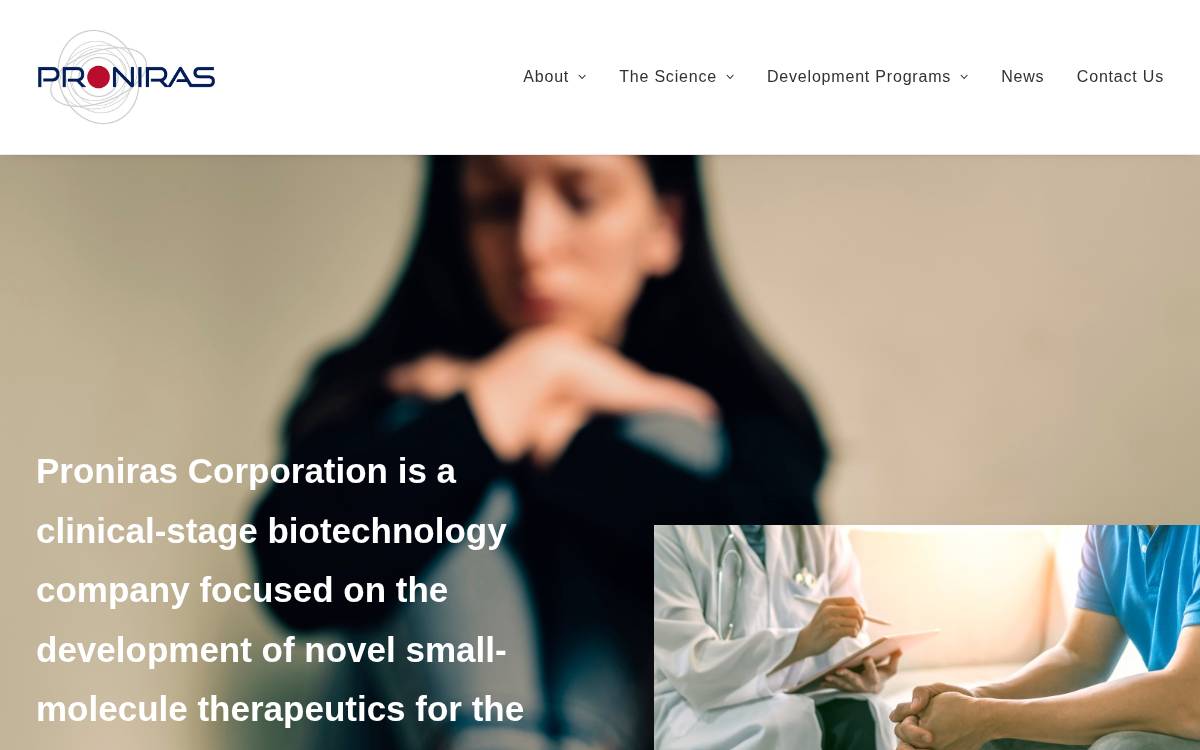 Proniras website preview