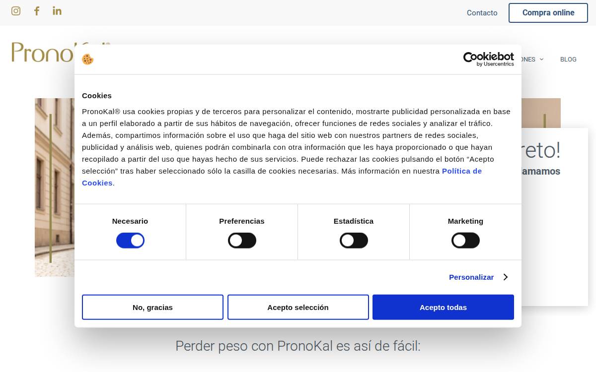 PronoKal Group website preview