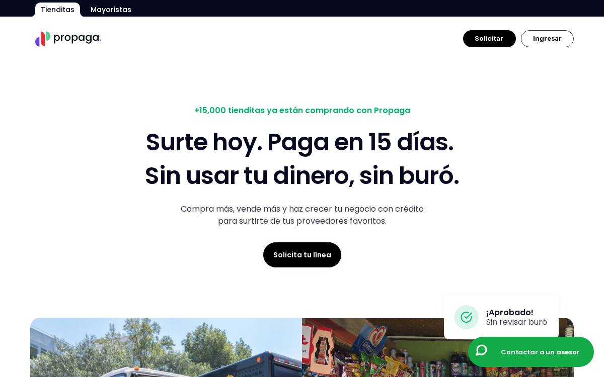 Propaga website preview