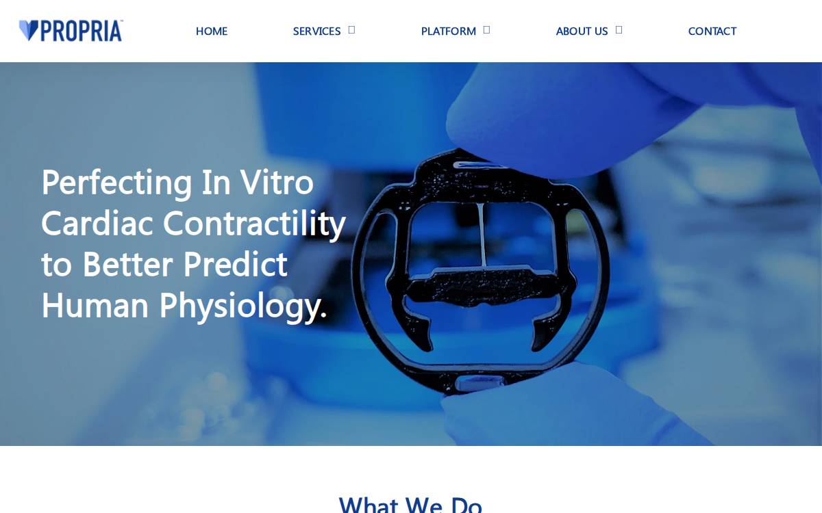 Propria website preview