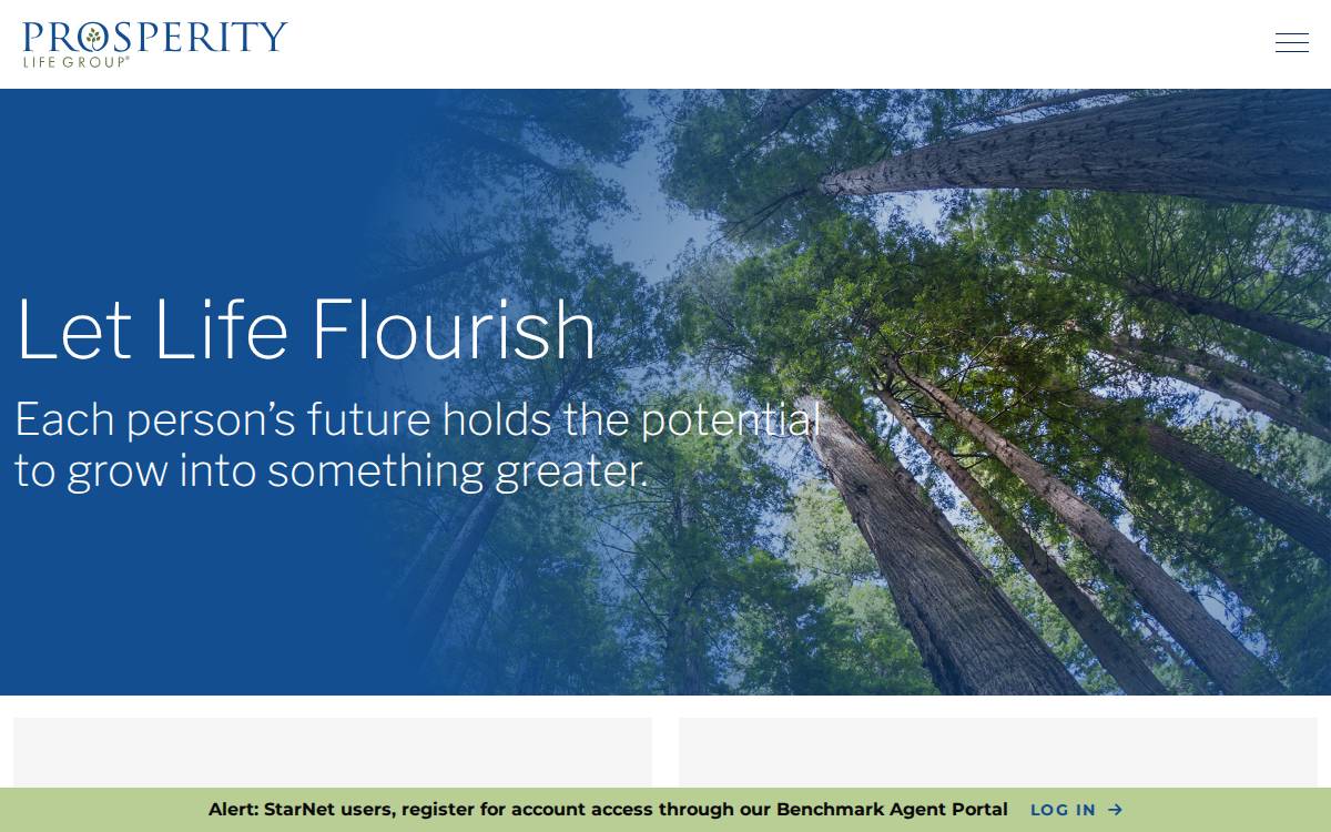 Prosperitylife website preview