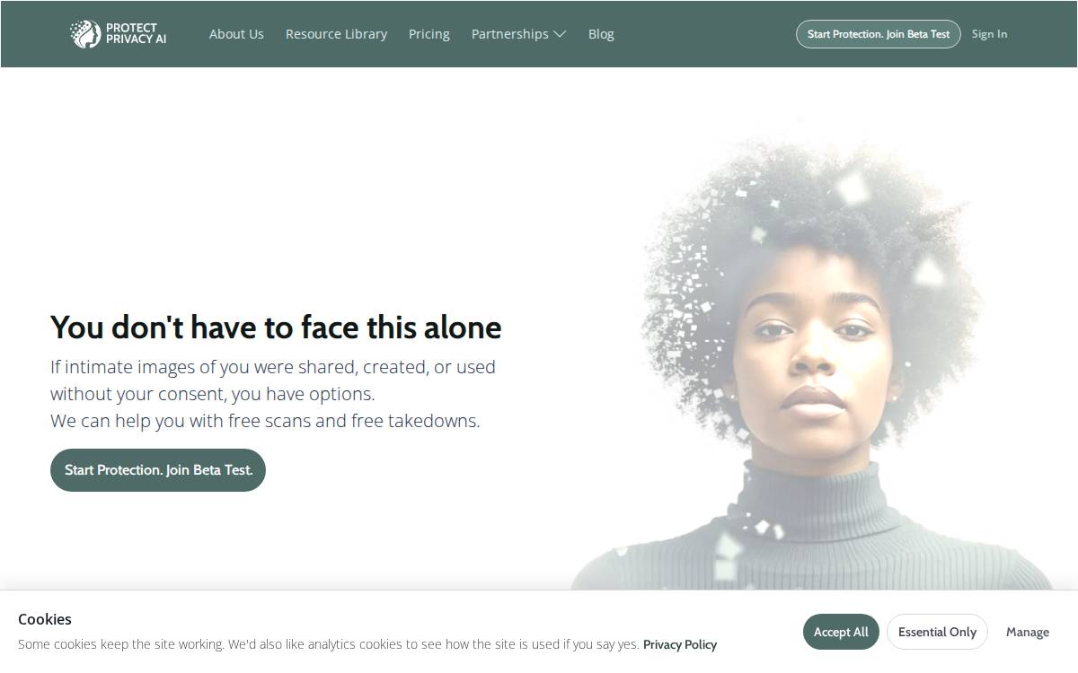 Protect Privacy AI website preview