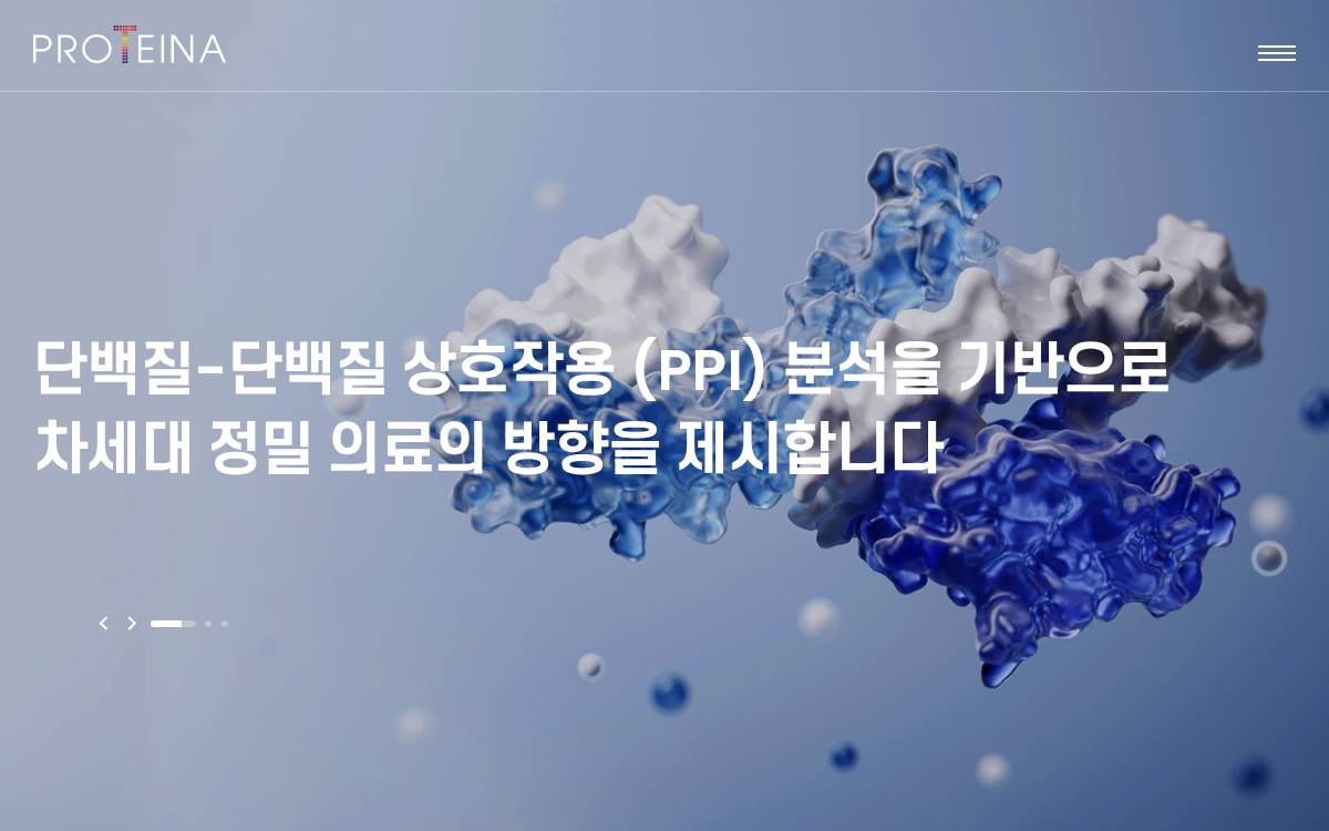PROTEINA 프로티나 website preview