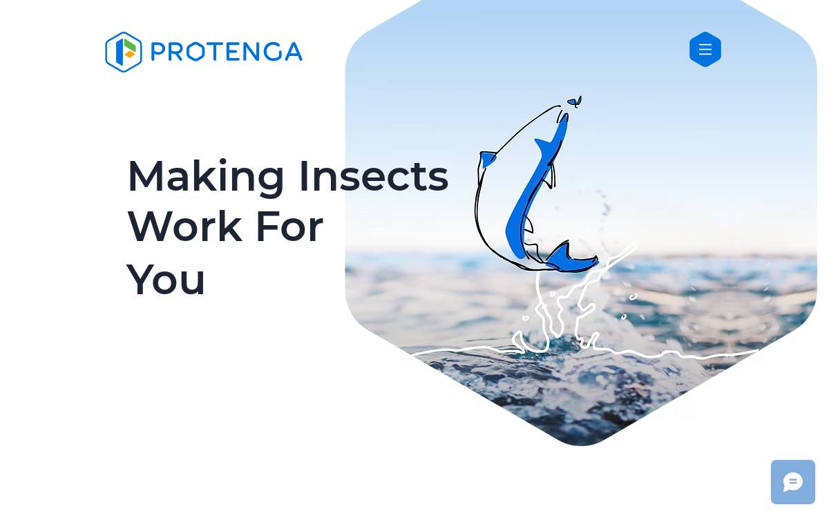 Protenga website preview