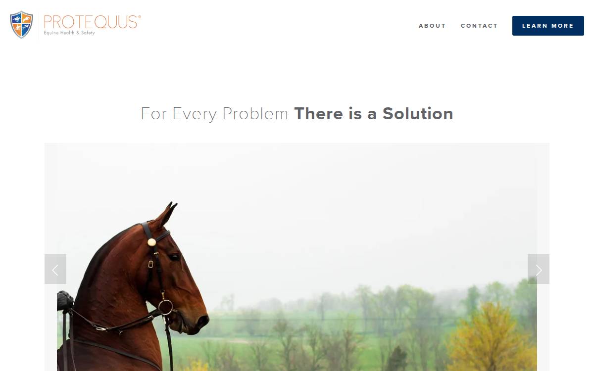 Protequus website preview