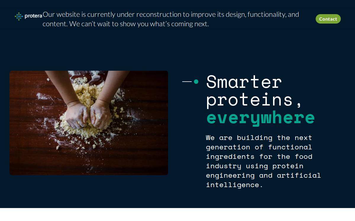 Protera website preview