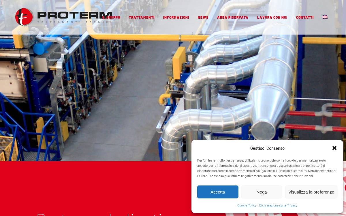 Proterm Group website preview