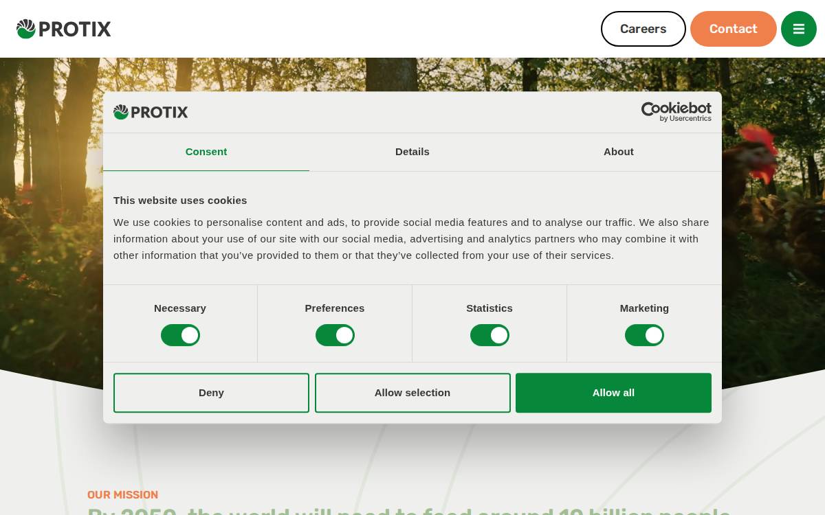 Protix website preview