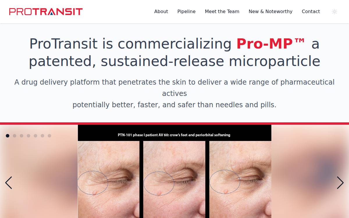 Protransitnanotherapy website preview