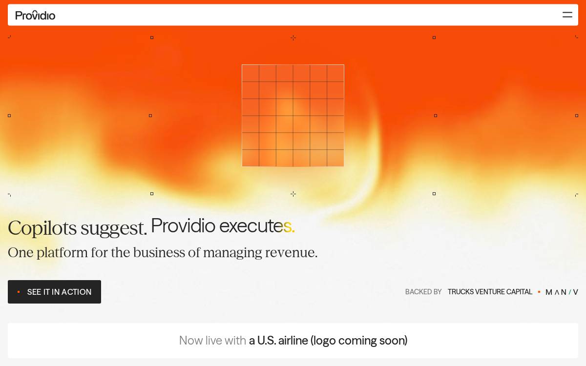 Providio website preview
