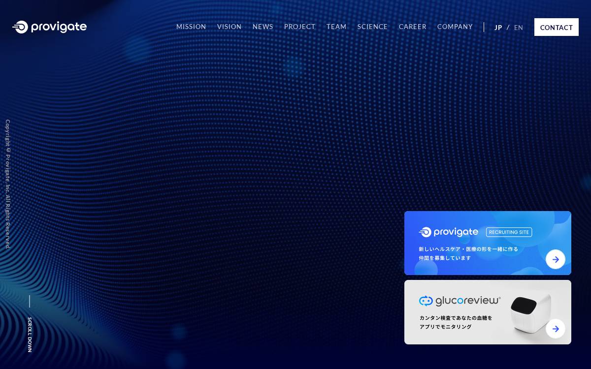 Provigate, Inc. website preview