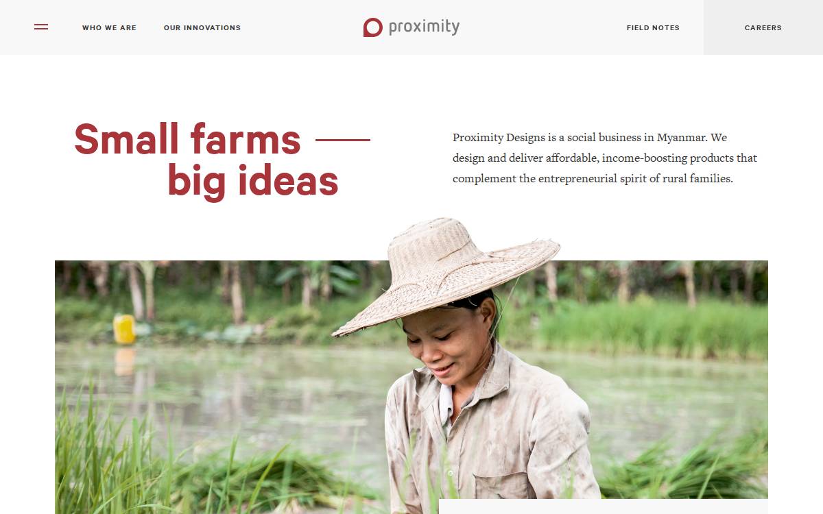 Proximity Designs website preview