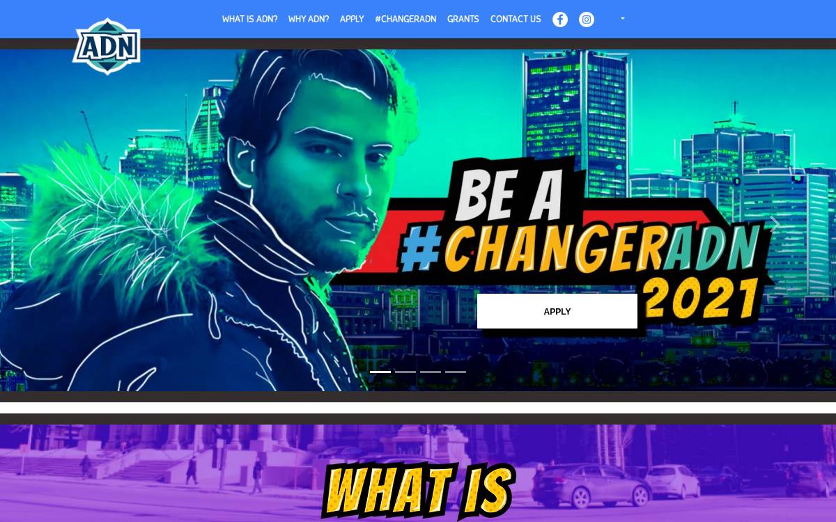 Proyectoadn website preview