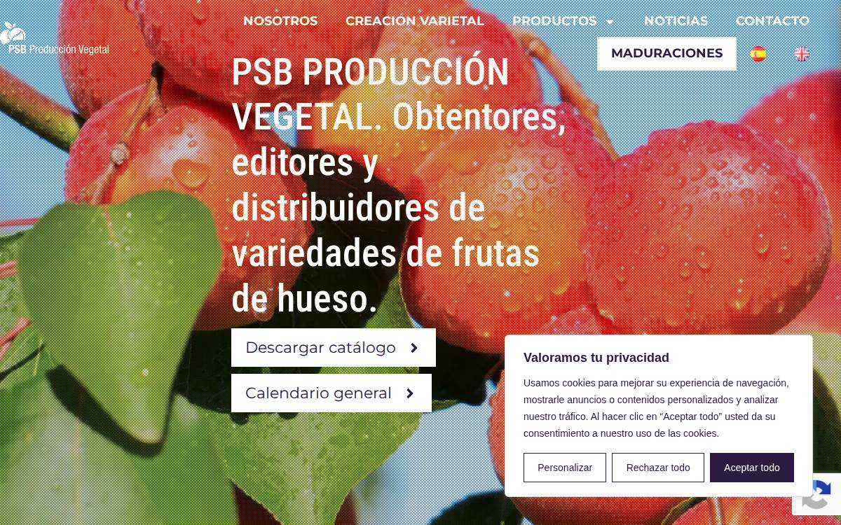 PSB website preview