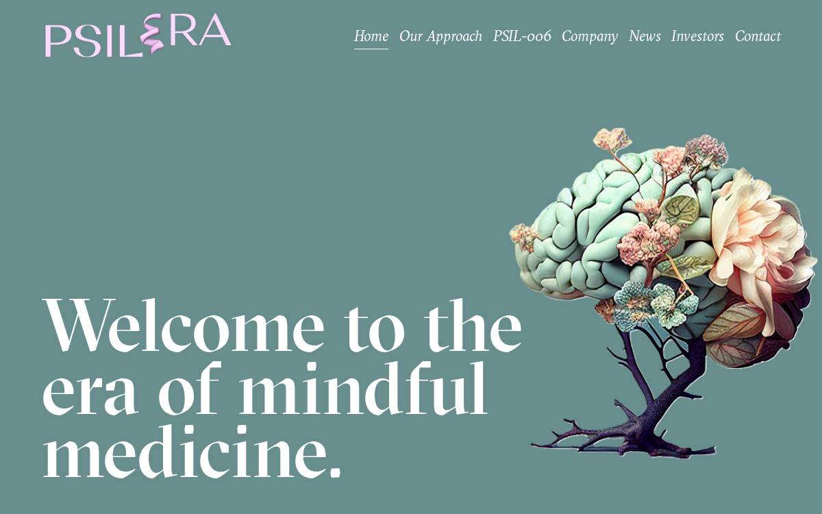 Psilera website preview