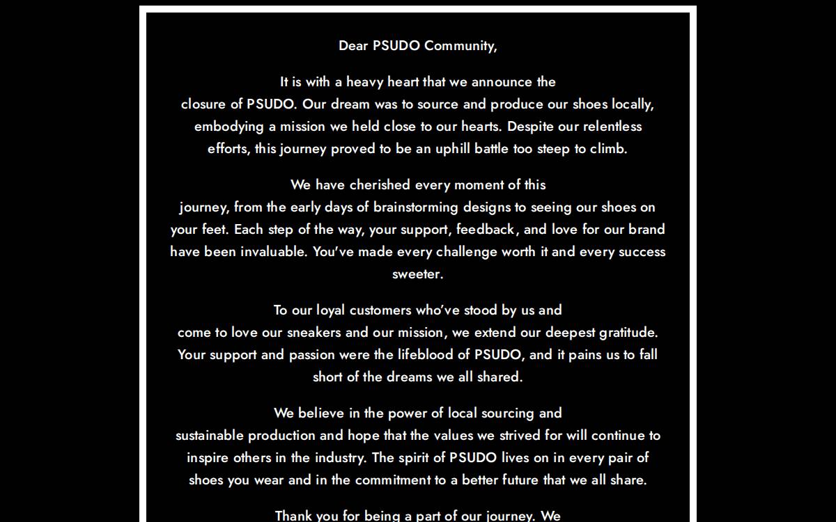 Psudo website preview