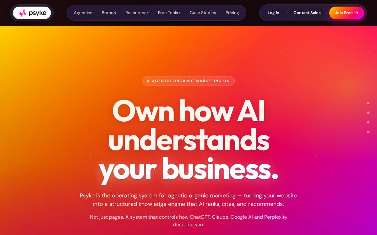 Psyke website preview
