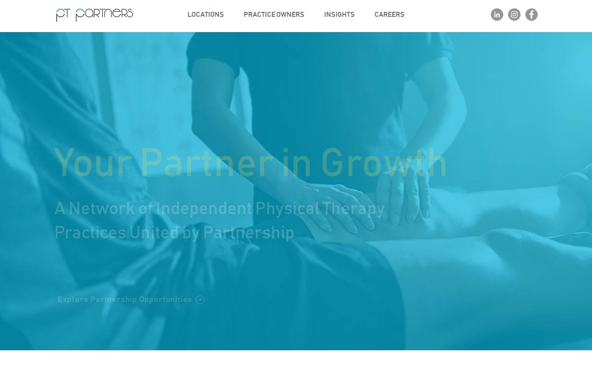 Ptpartners website preview